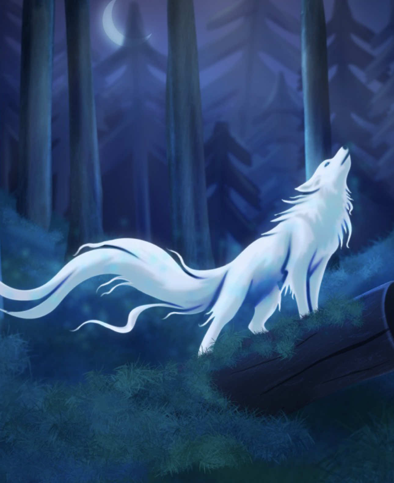 @Cassidy Grimm | Fantasy Author