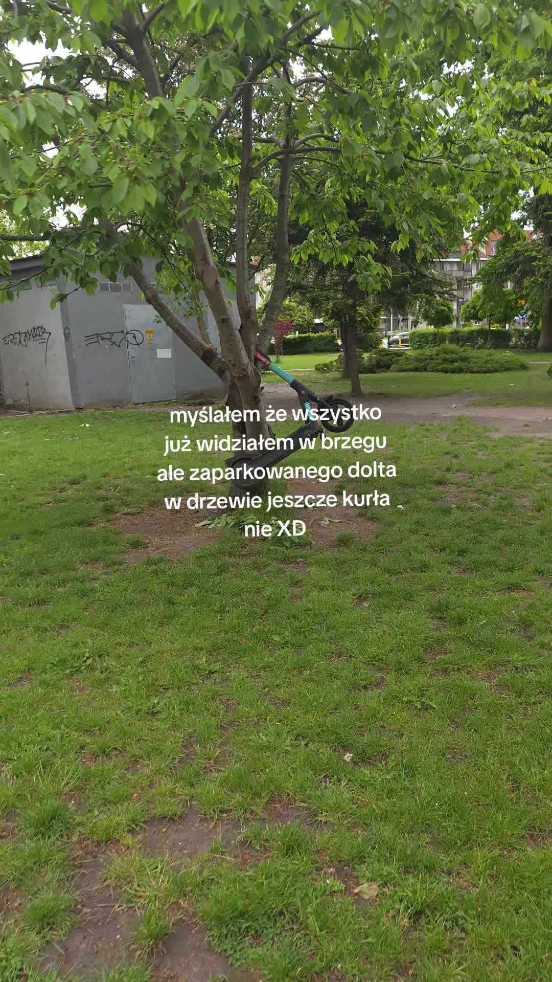 @々𝐩𝐢𝐱𝐞𝐥𝐨𝐯𝐲