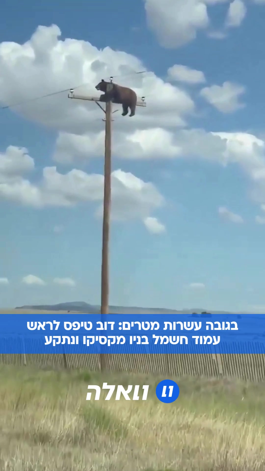 @וואלה