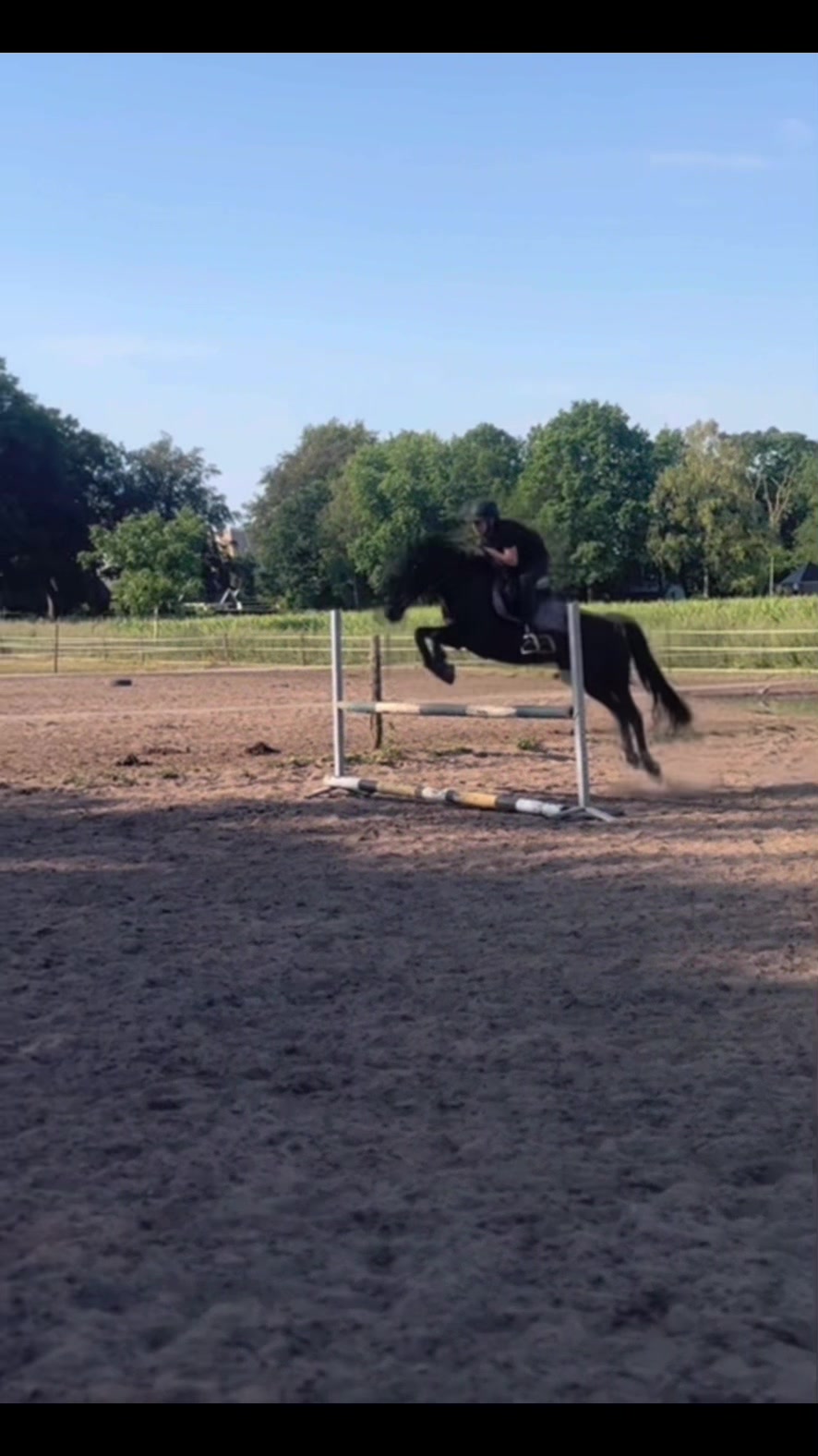 @Equi Roosje🇳🇱