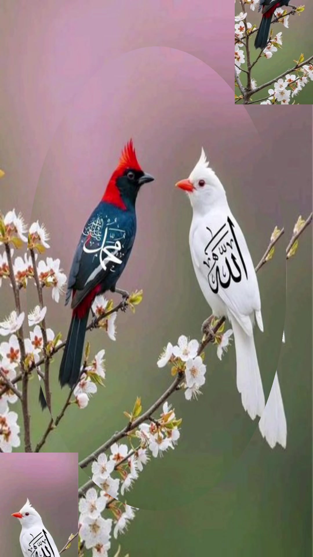 @143Aby