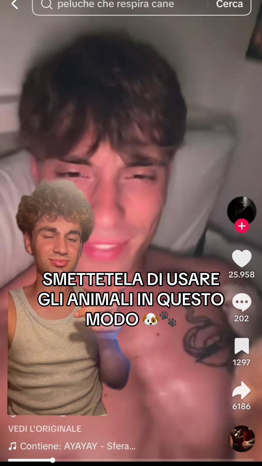 @tommasodestefano