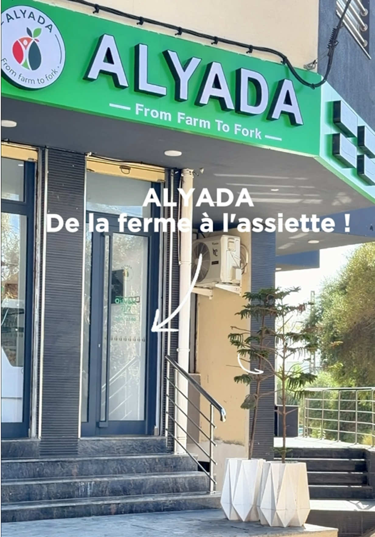 @Madin’Alger 🇲🇶✈️🇩🇿