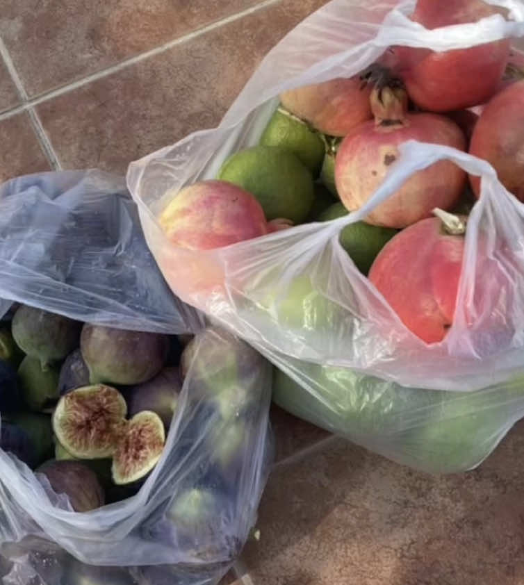 @Lulu <3
