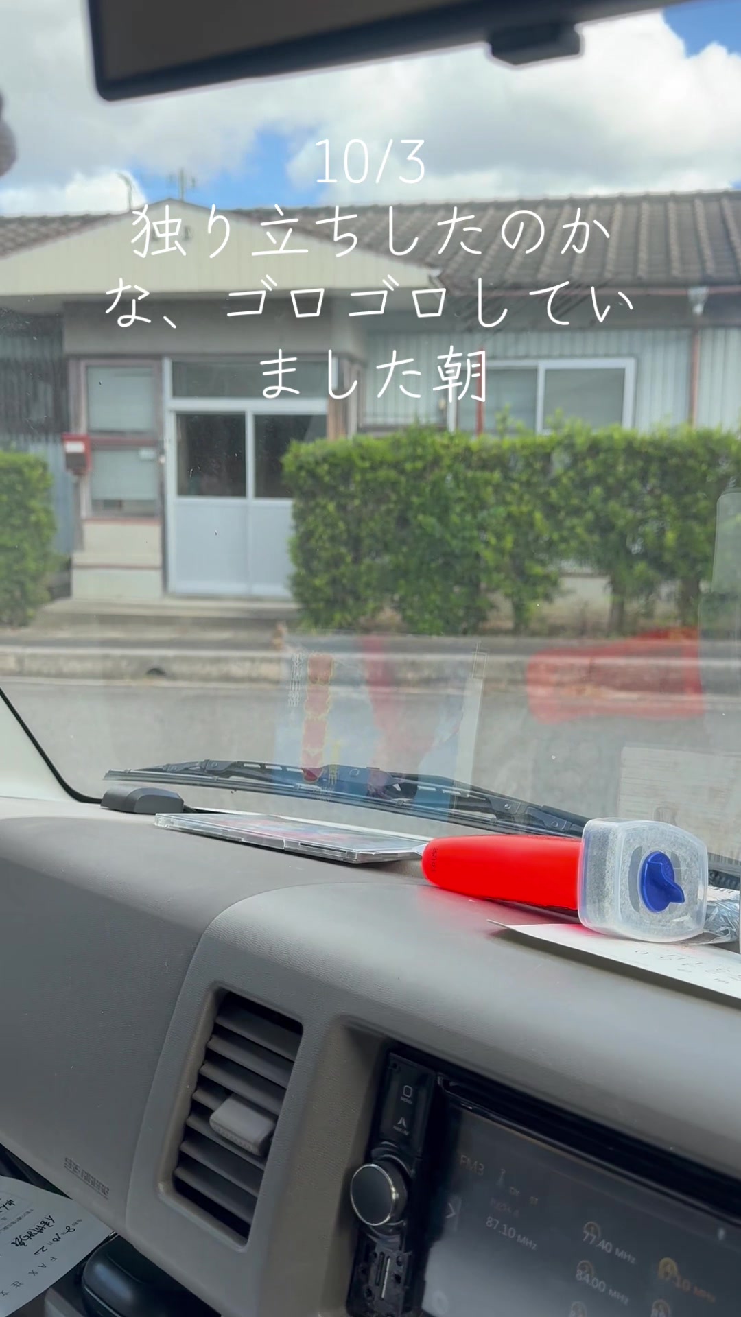 @とのひかる🐾🐈🐈⬛🐾