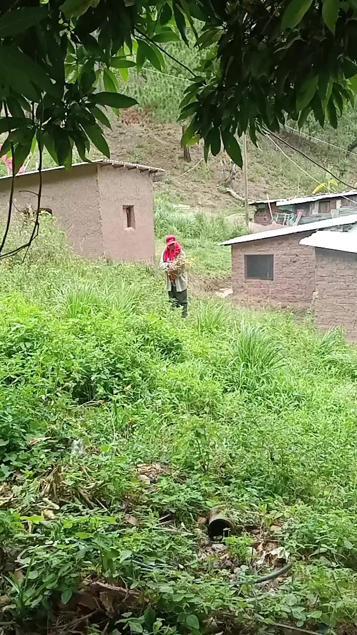 @Sebastian Vásquez