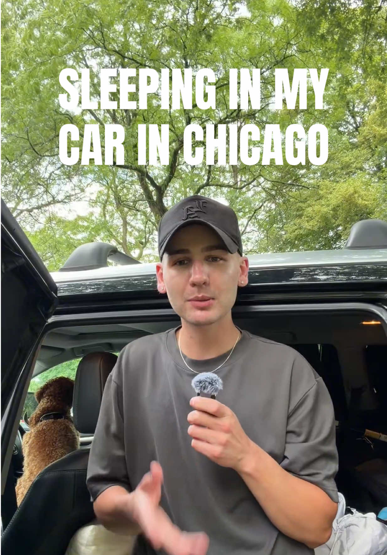 @Digital Baylie