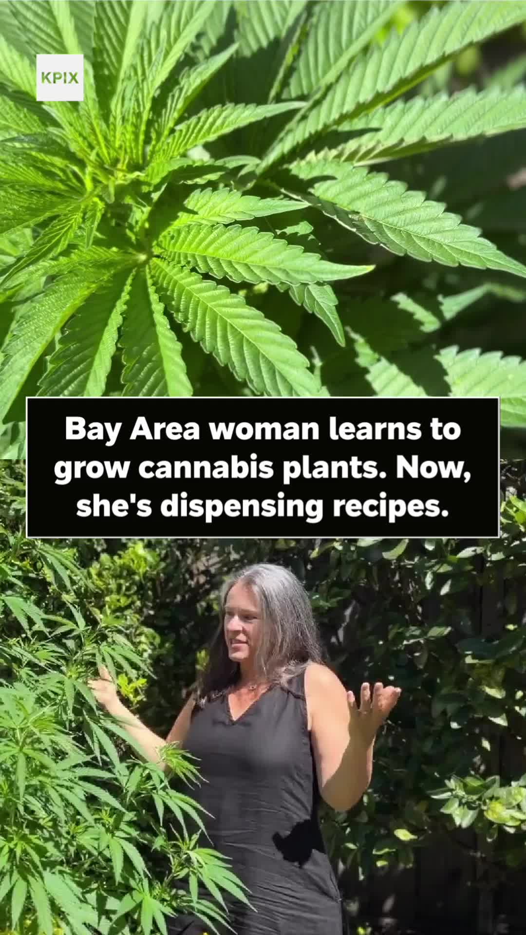 @KPIXTV