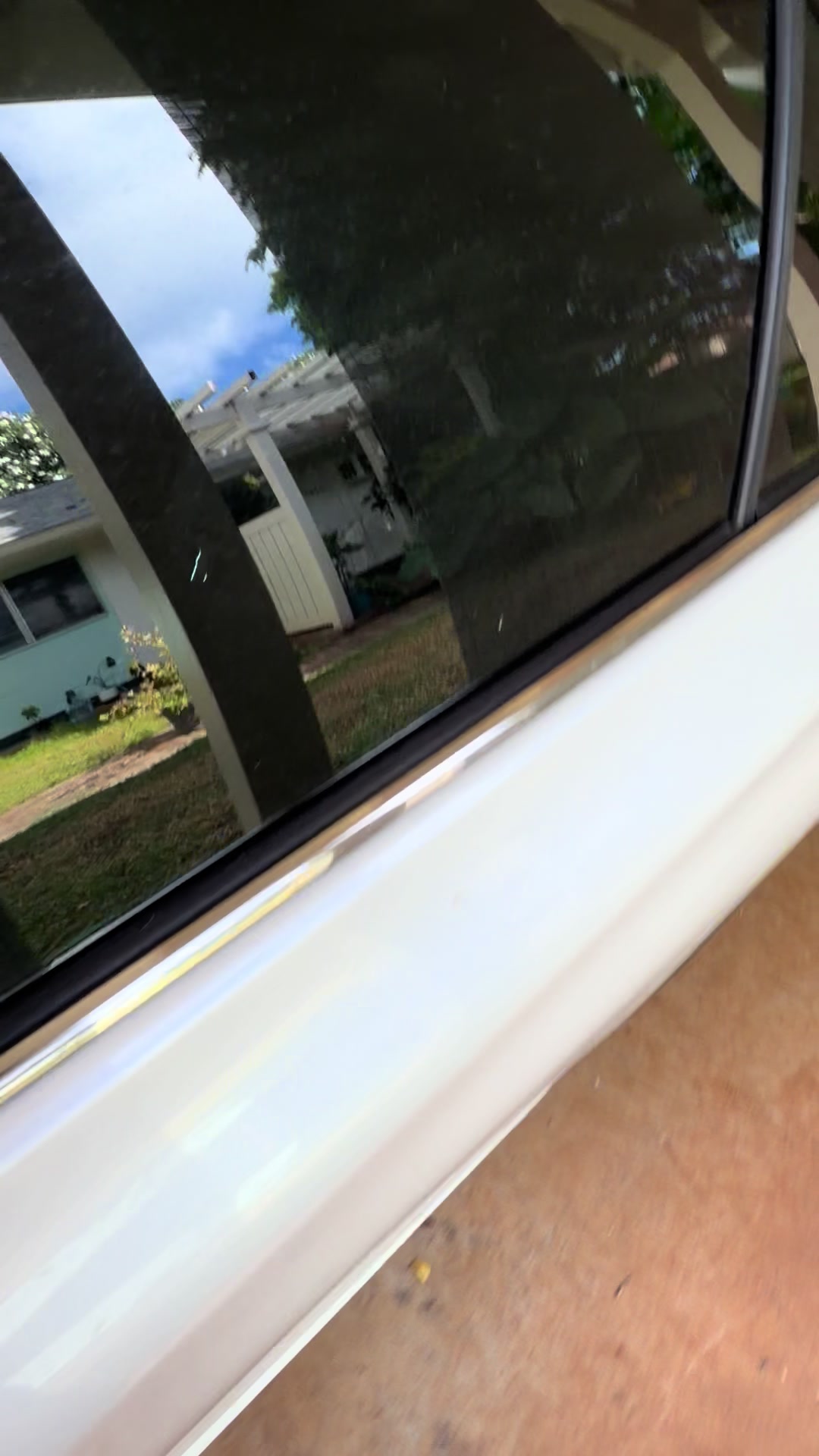 @wipeoutdetailing