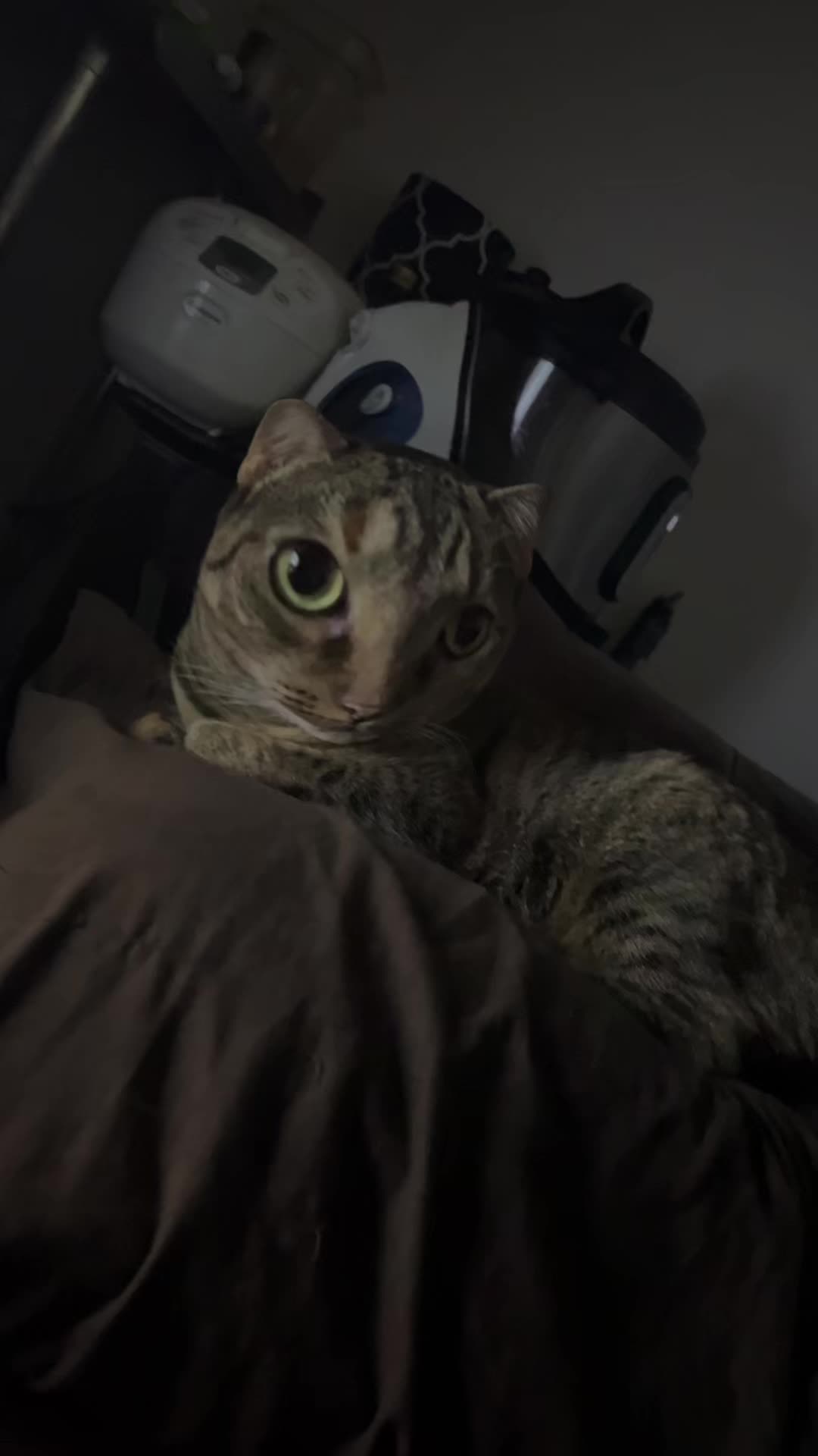 @Ken Kaneki
