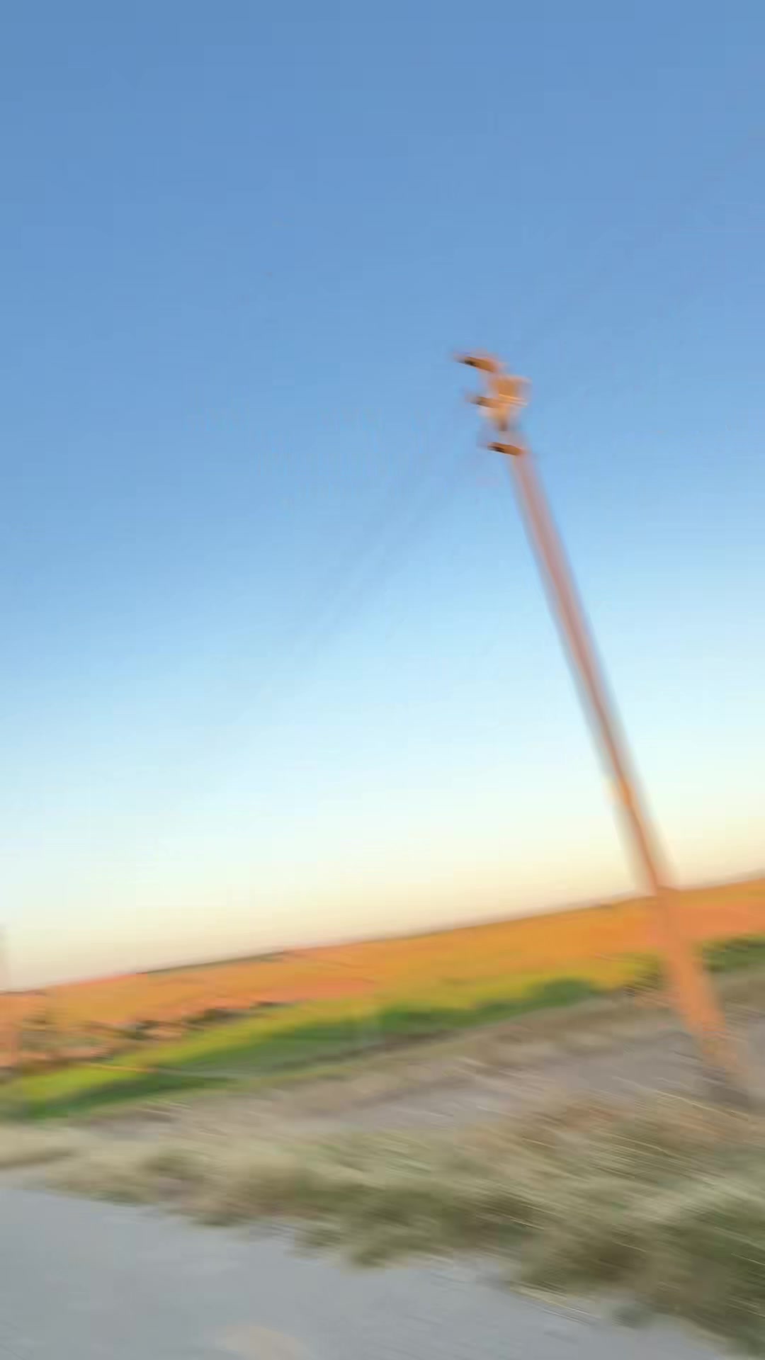 @feray1976