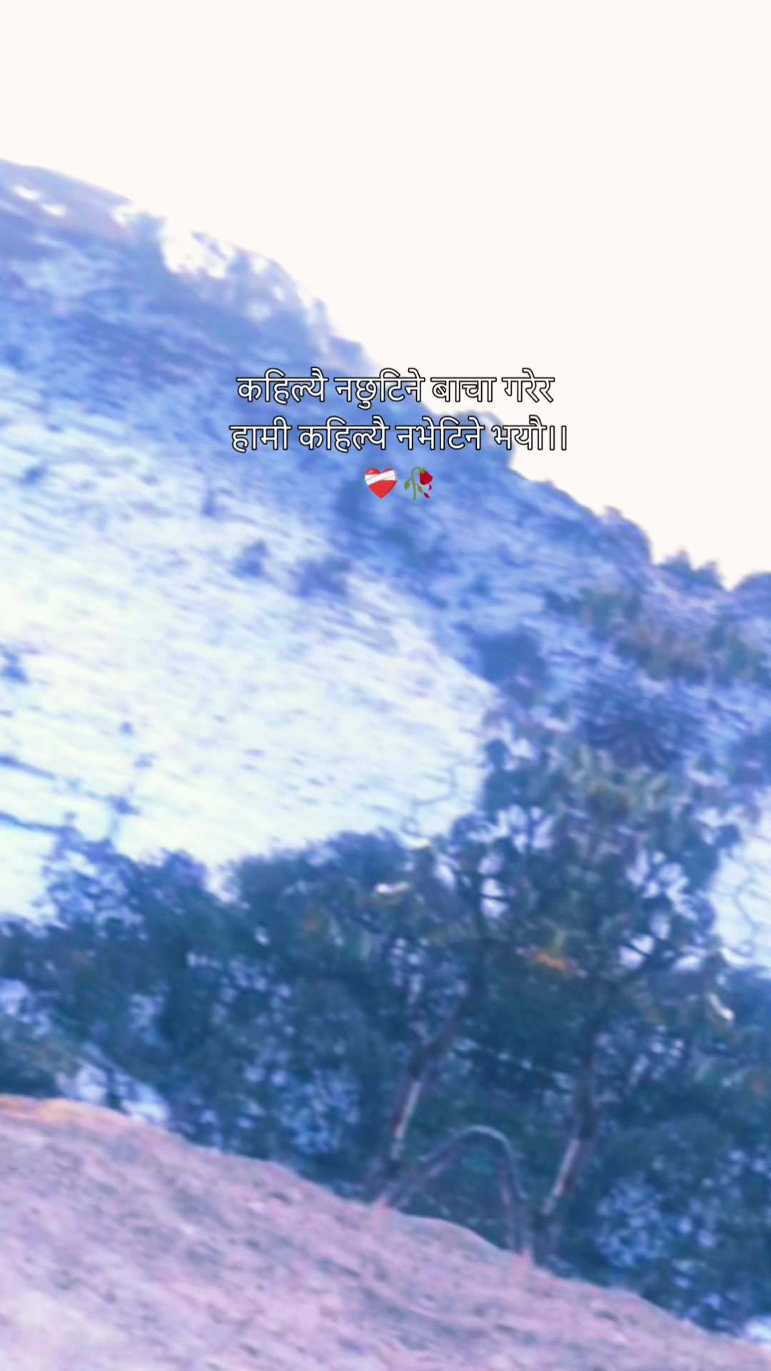 @Bhujel Sammdi
