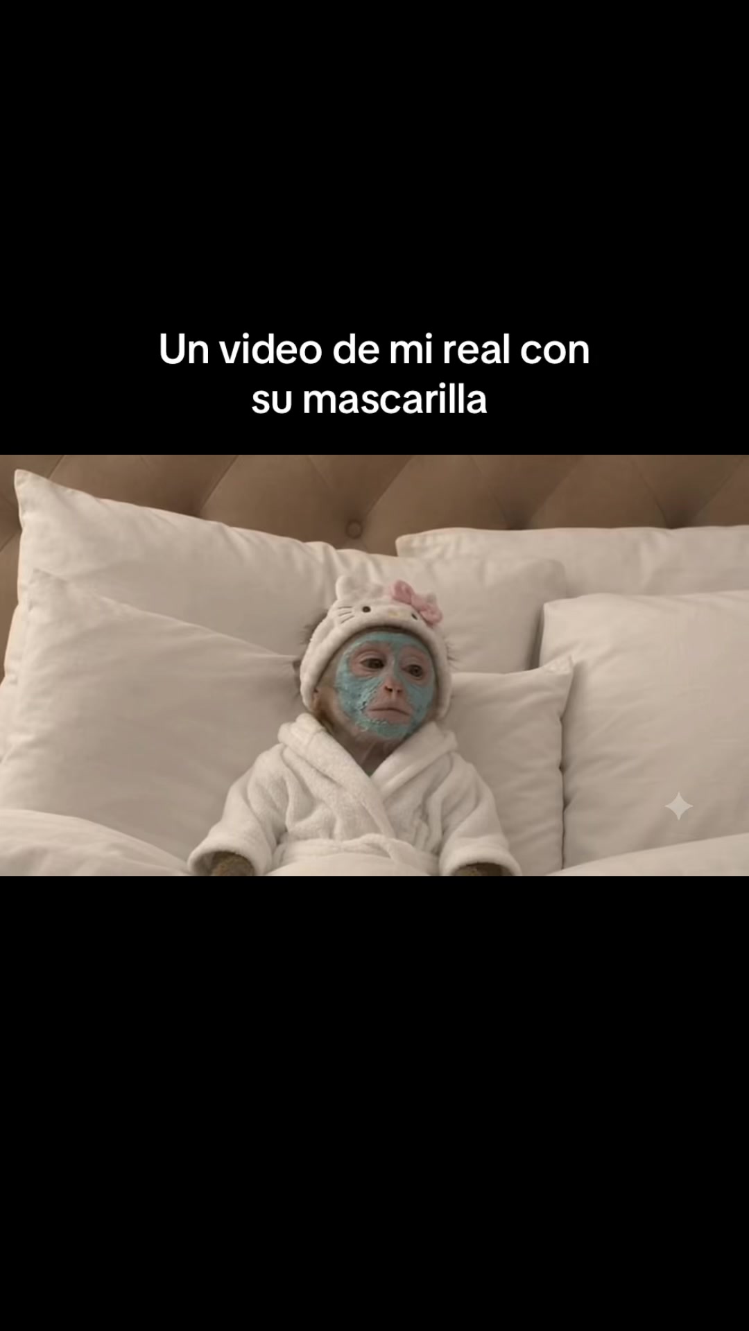@RabPesito 🔥