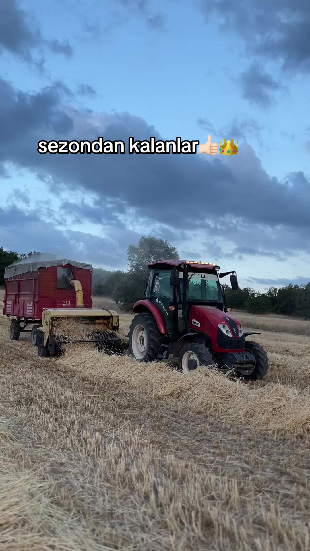 @ลABAN KOLTKA