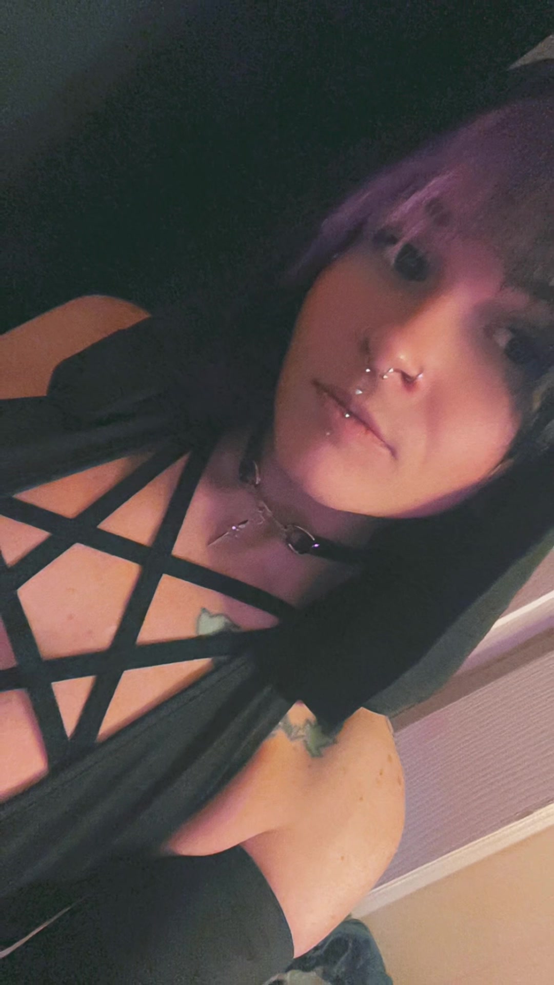@🕸️🕷️LEX🕷️🕸️