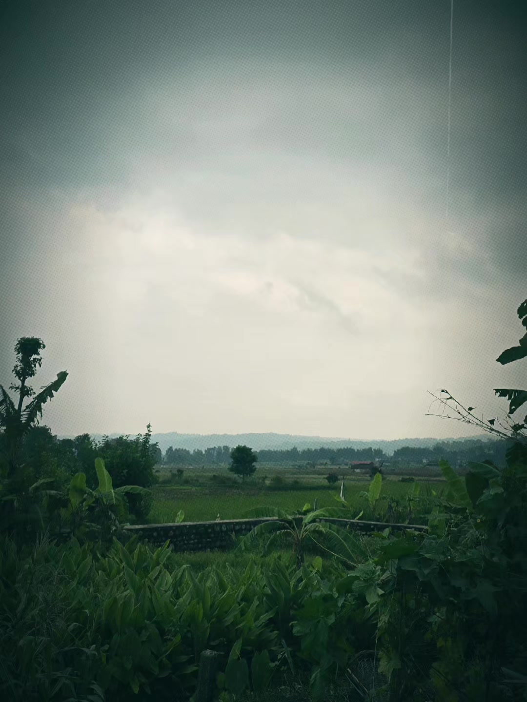 @𝐌𝐬 𝐄𝐝𝐢𝐭𝐳