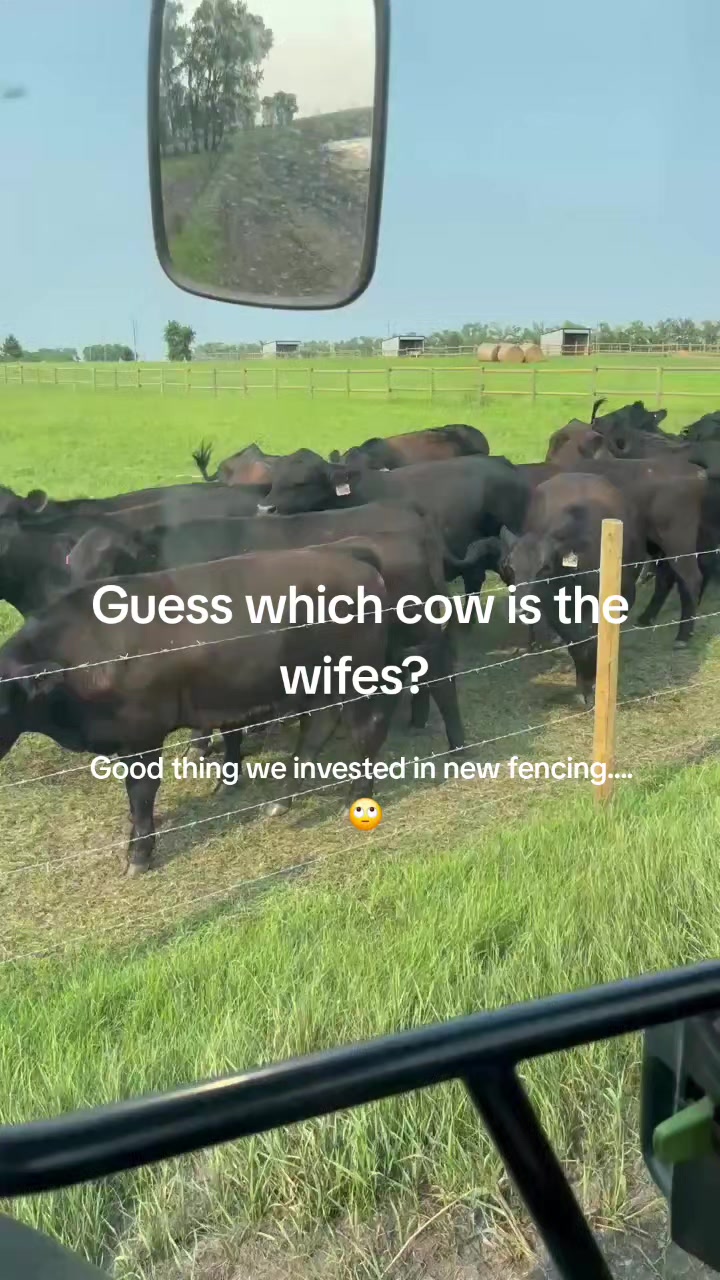 @ShitShowOnTheRoad