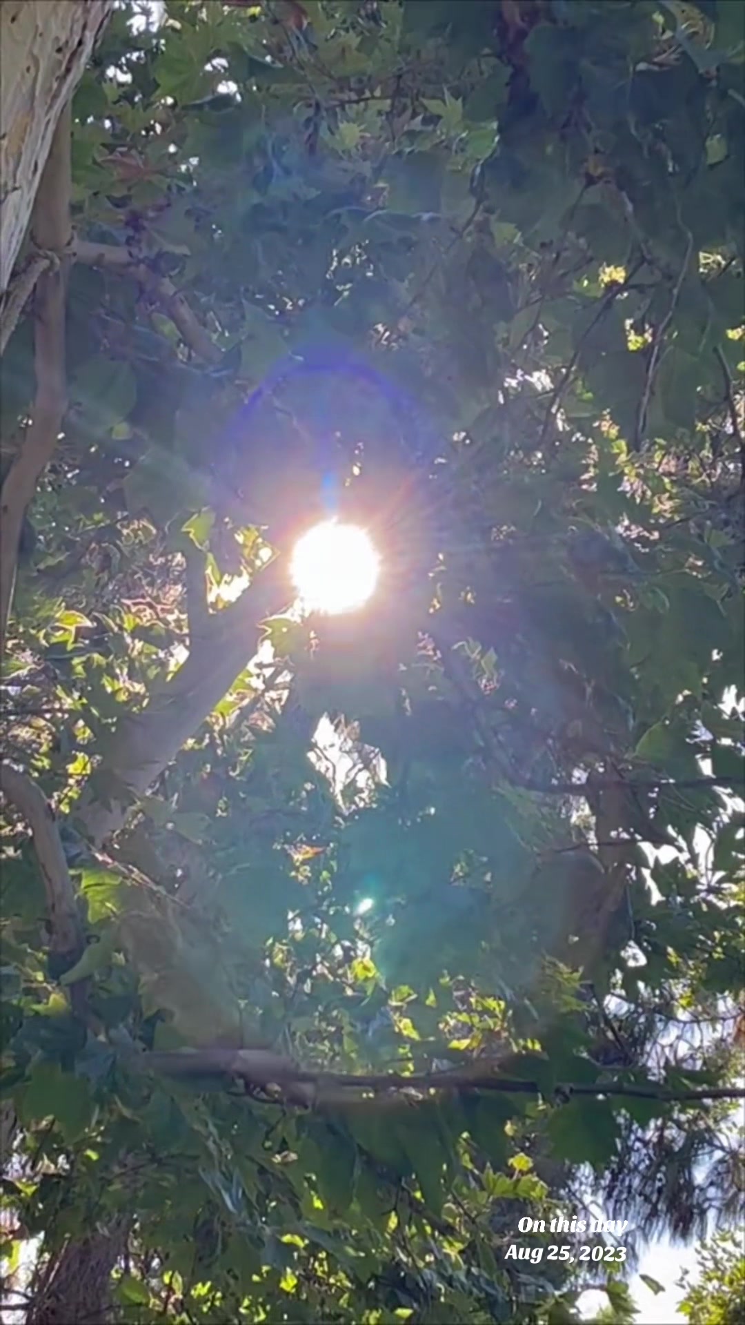 @🐉MA👁️🌹RA☀️717🪽