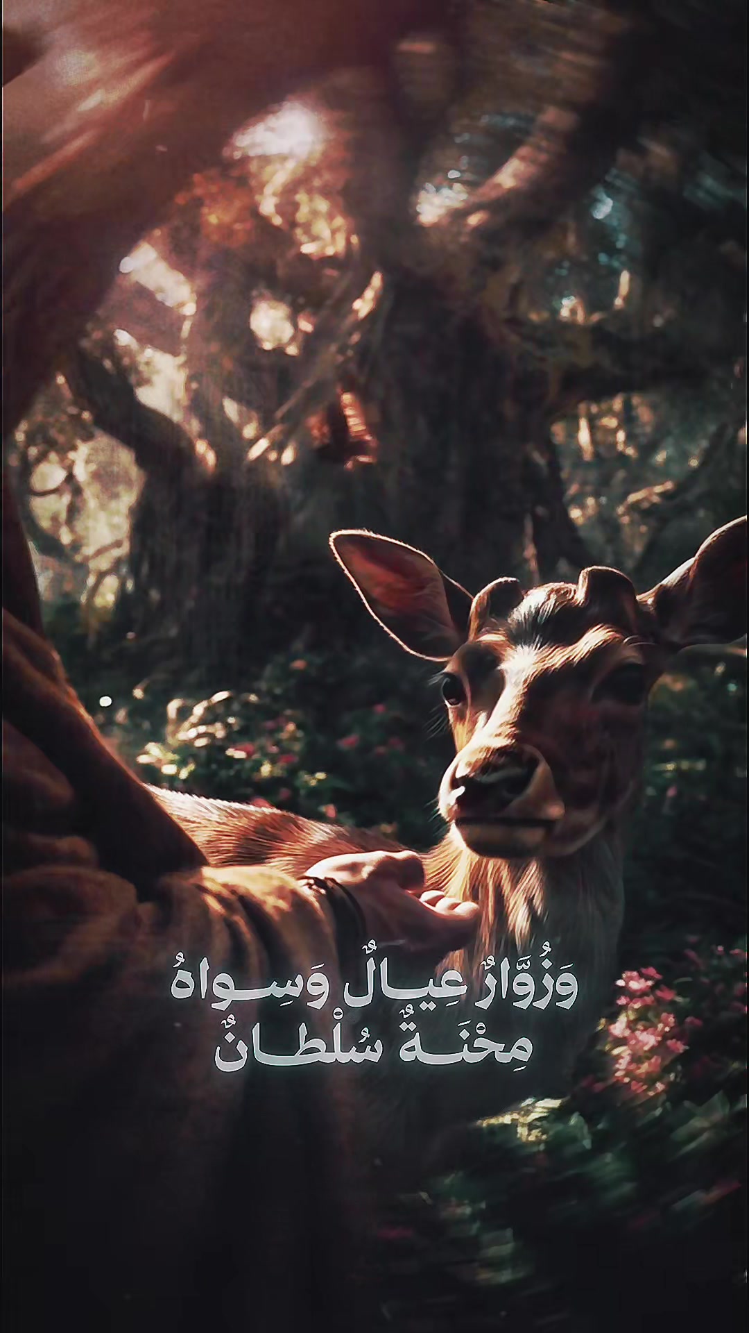 @نُدبَـــة