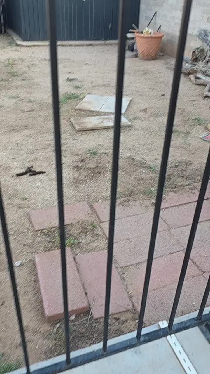 @SheilaA520