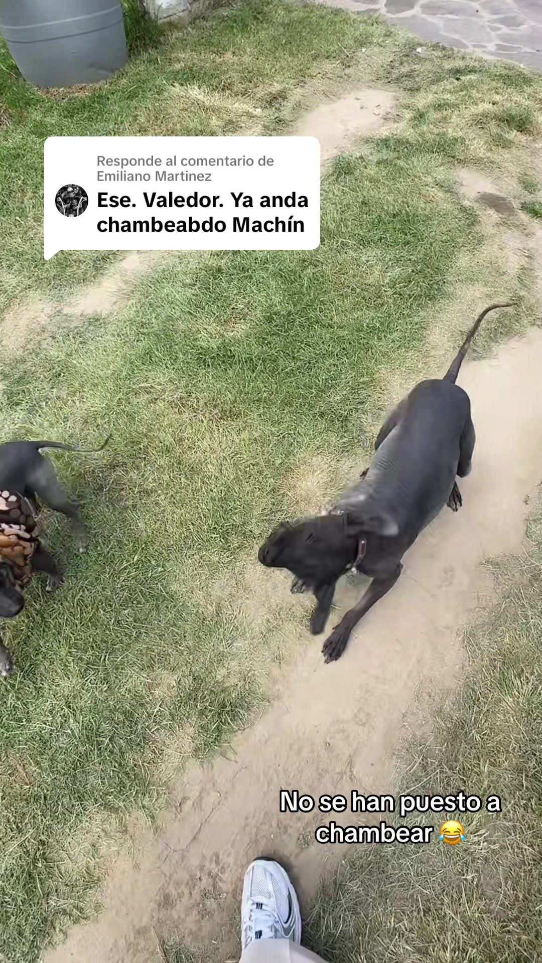 @arumivazquezg
