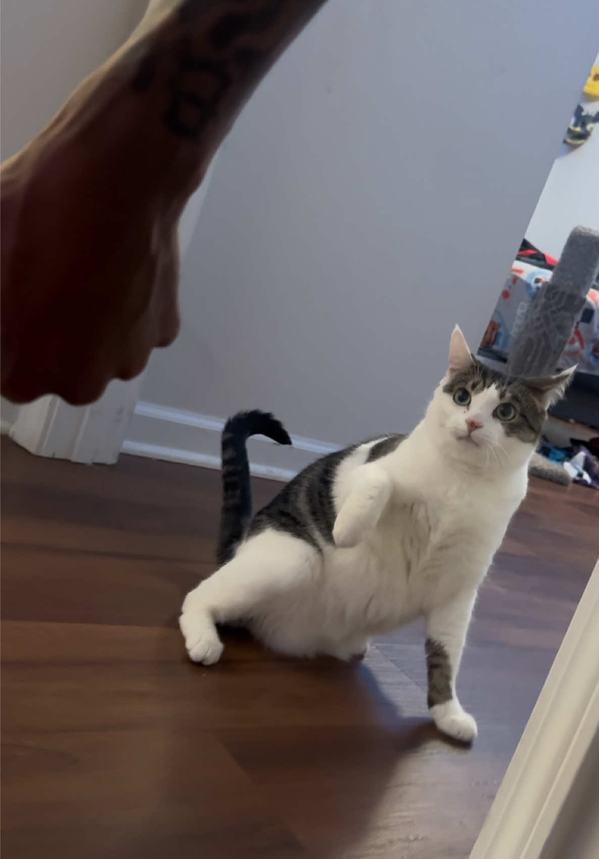 @LVSkinny