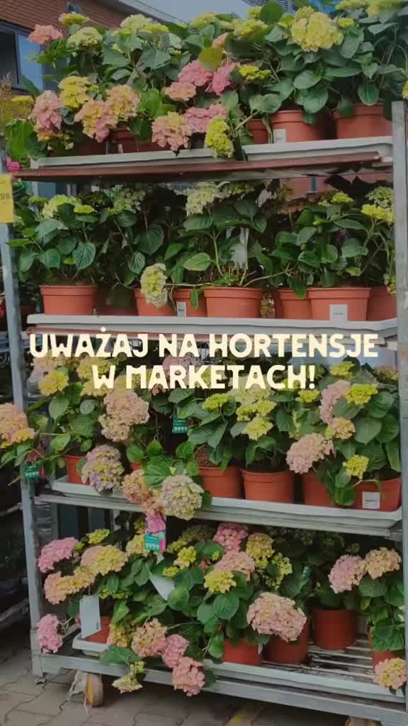 @Ogrodnik Doskonały
