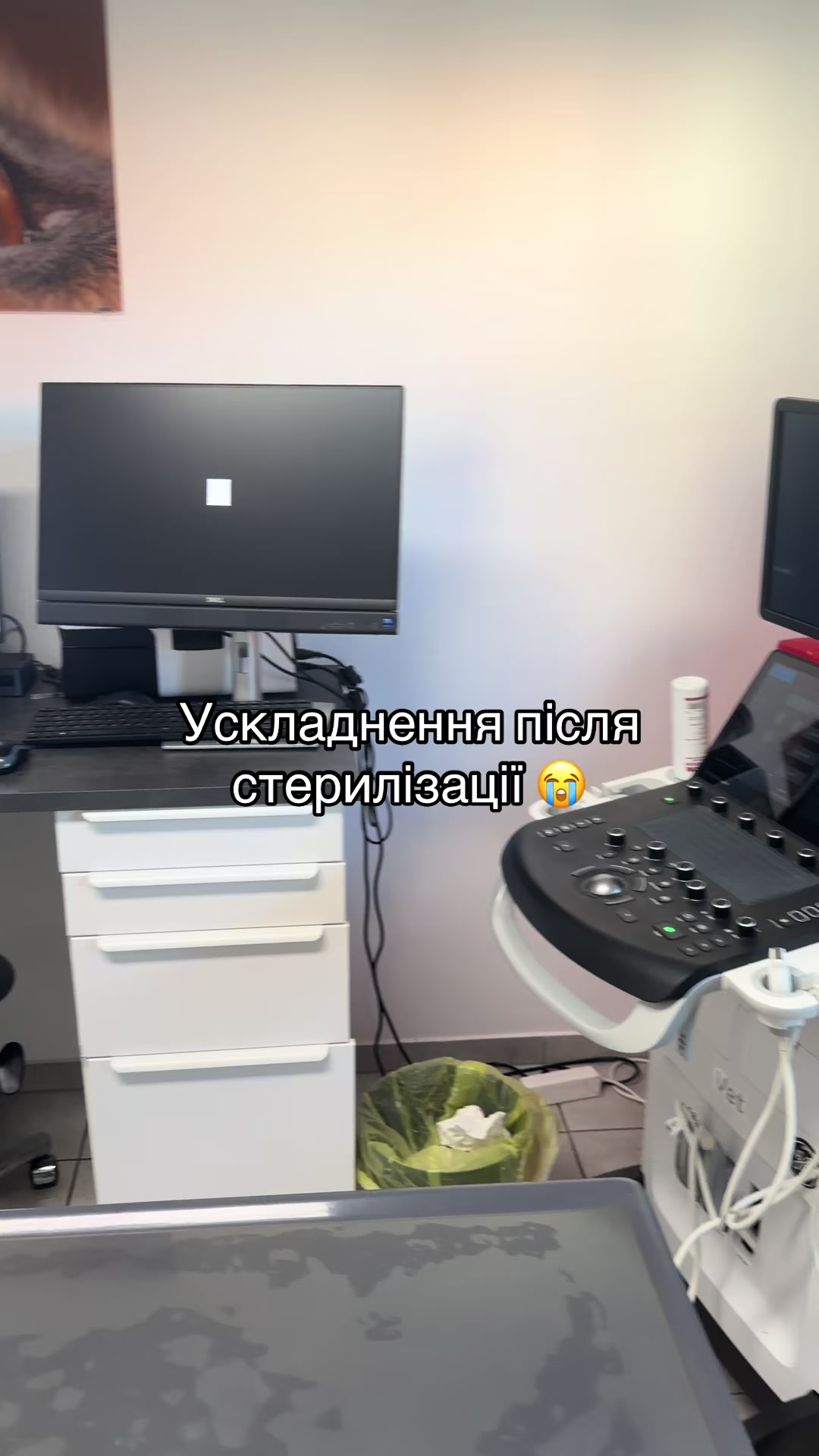 @Алла Сова