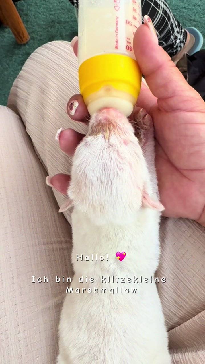 @.*✨..*✨*.