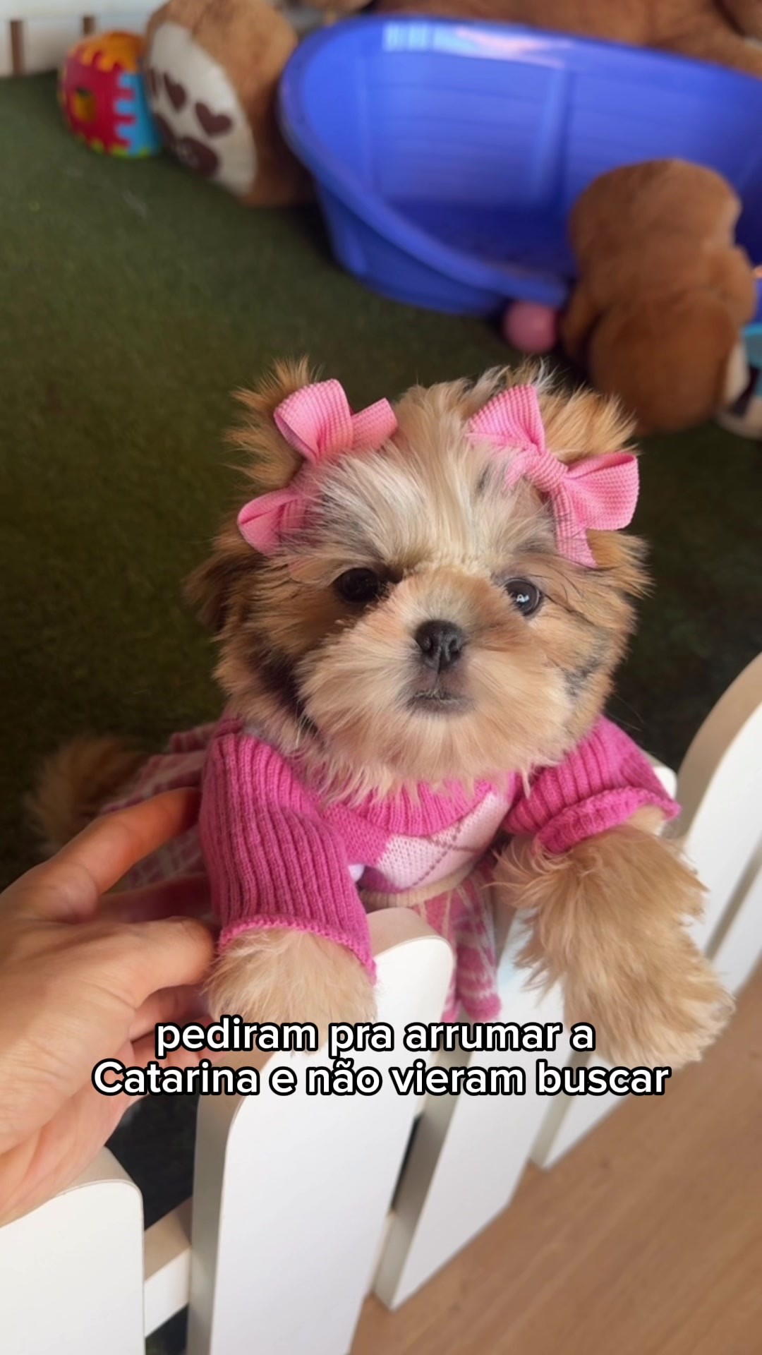 @Casa dos Ursinhos
