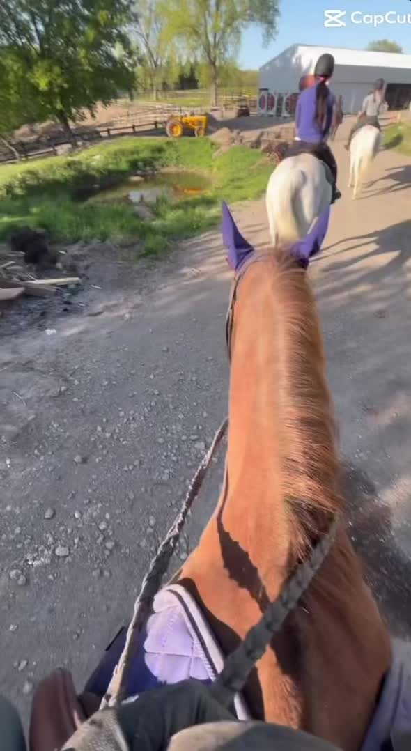@keriashorse_spammmm