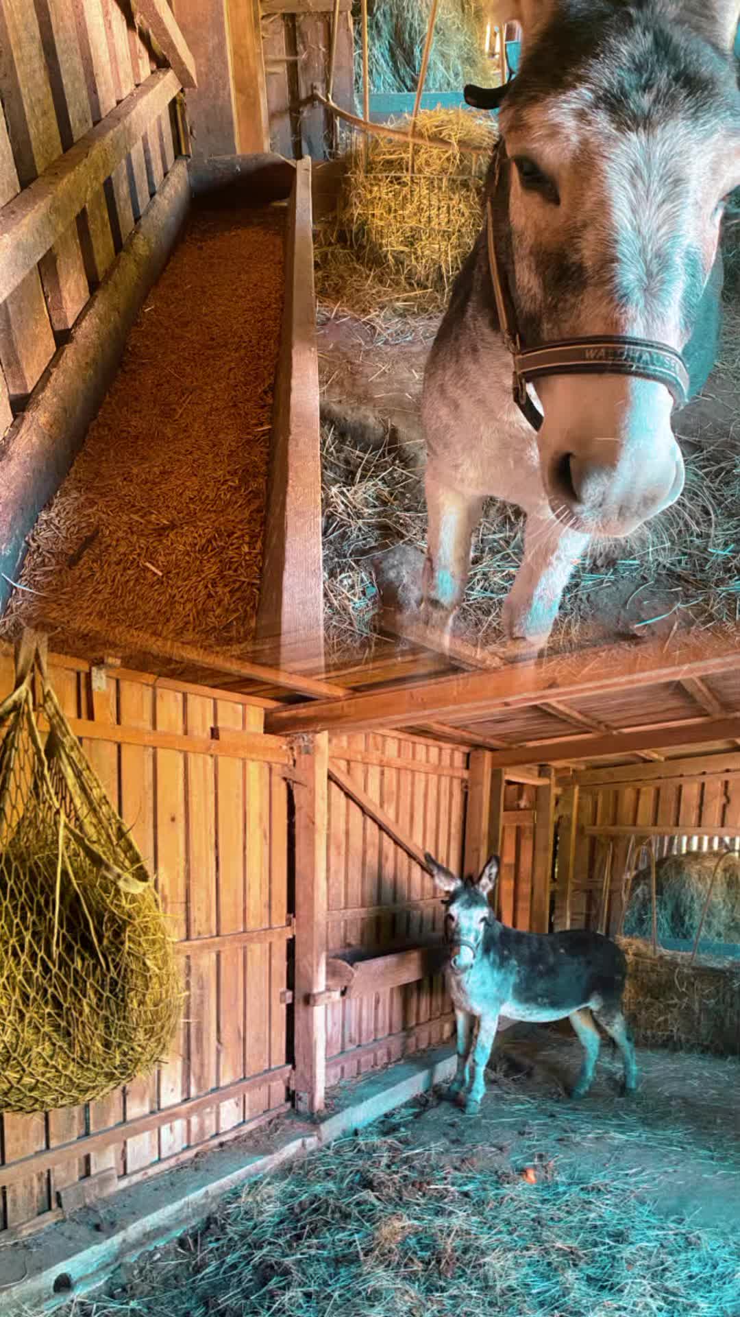 @🦚🆃𝓲𝓮𝓻🅿𝓪𝓻𝓴🆃𝓸𝓴🦚