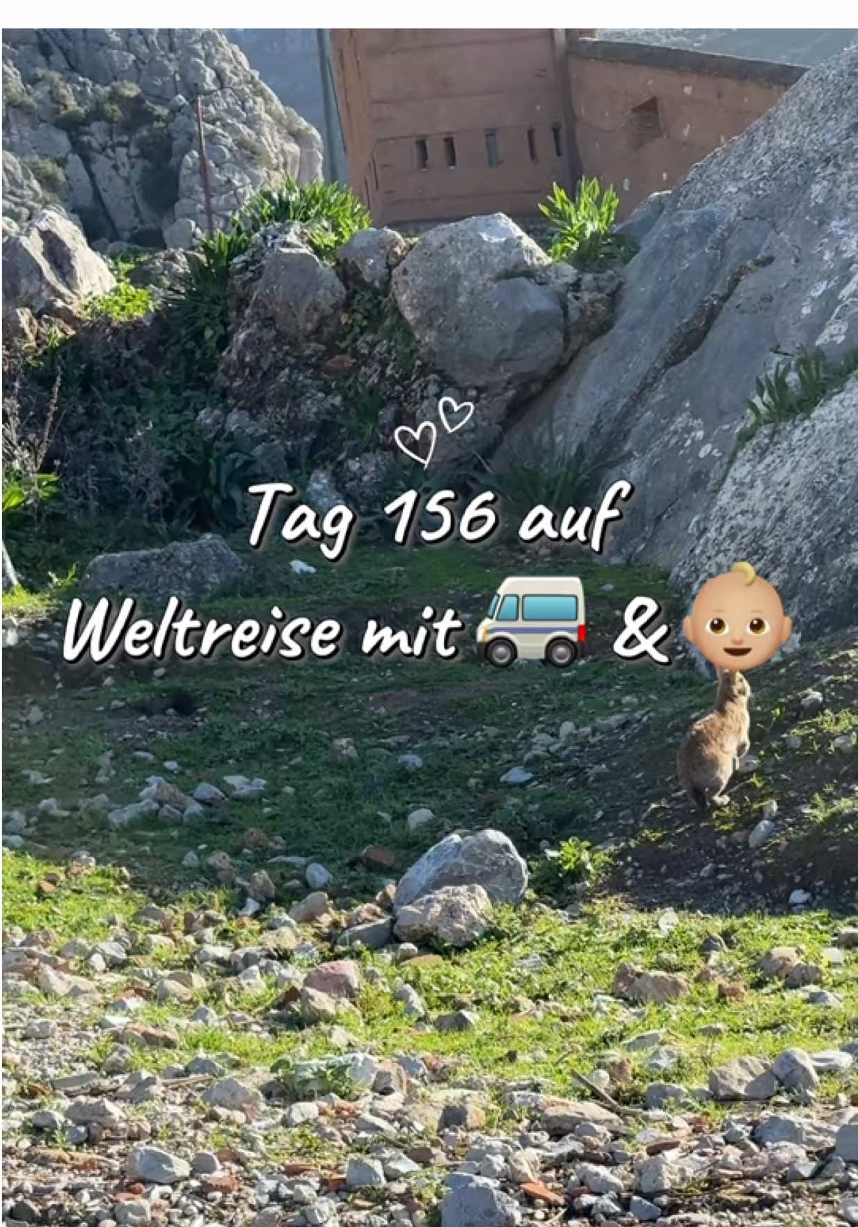 @Sachs_lifetravel