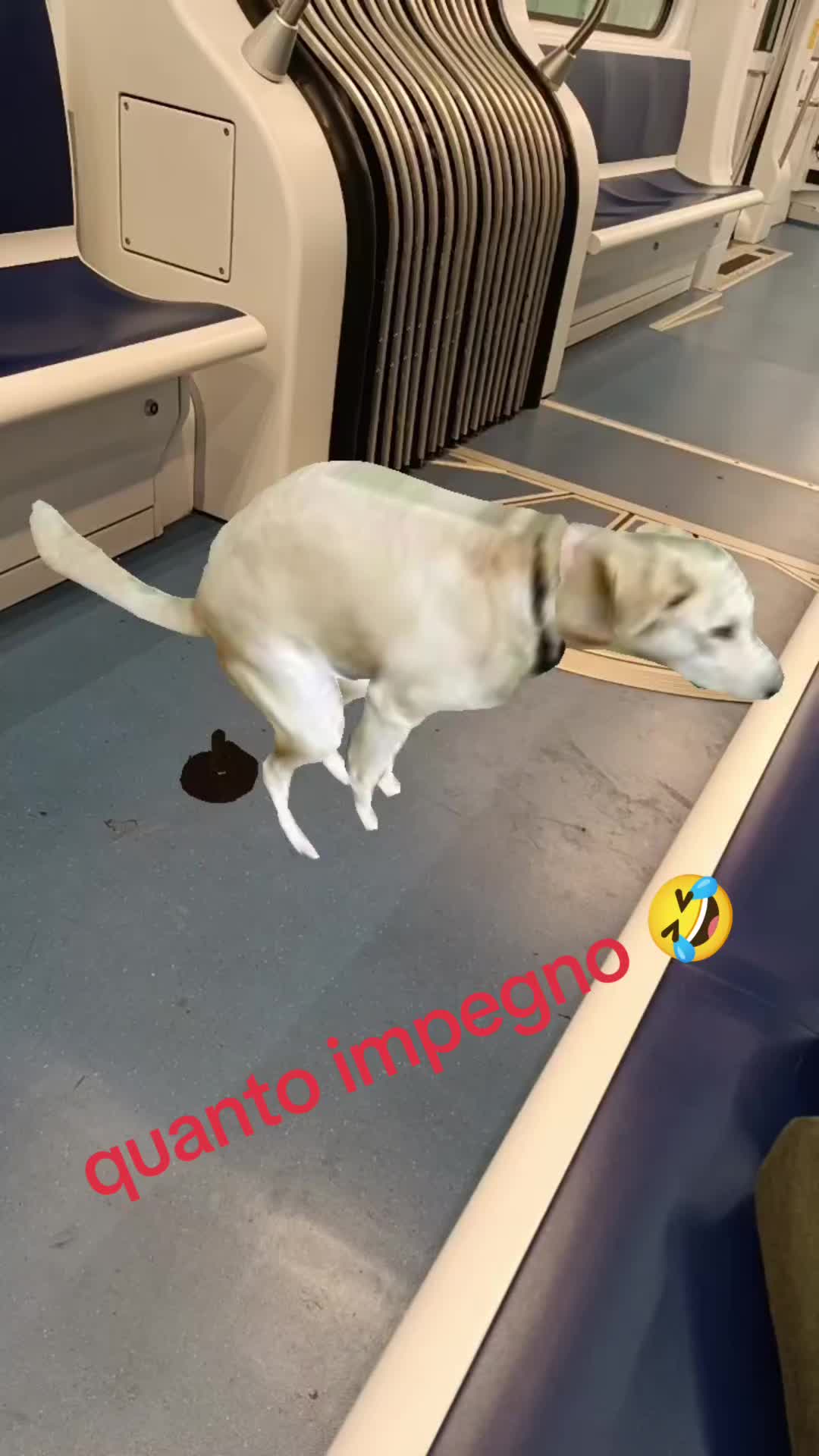 @matteogiovanelli8