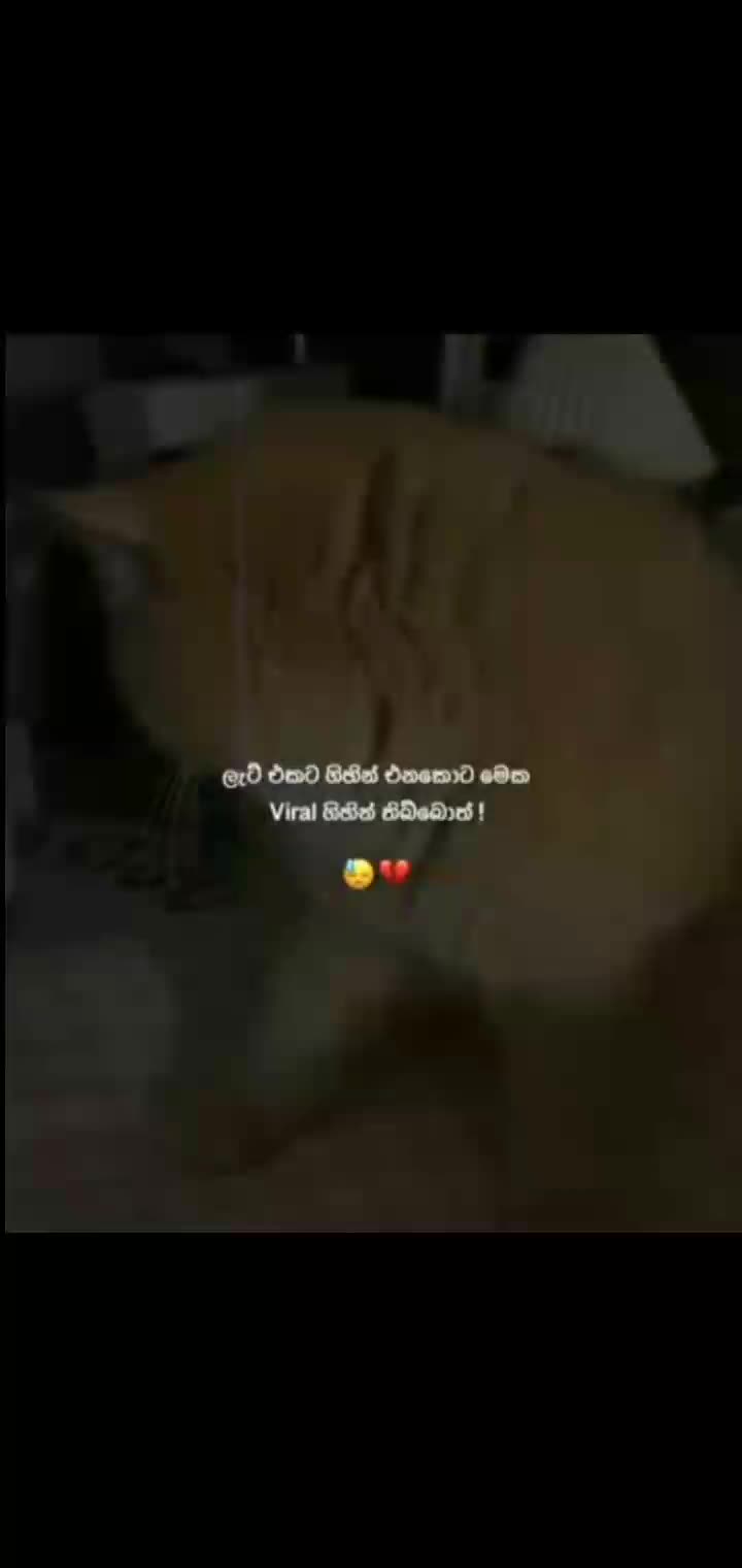 @closed