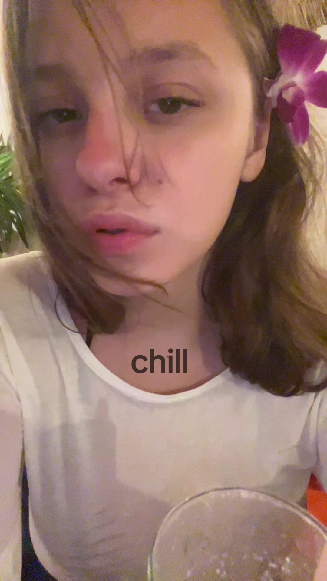 @steshalotos