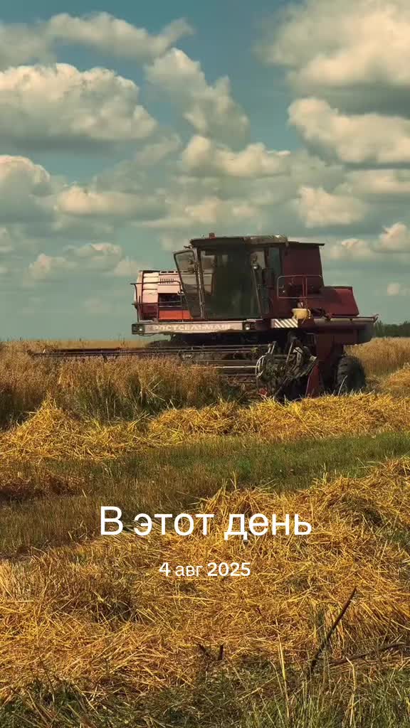 @Светлана