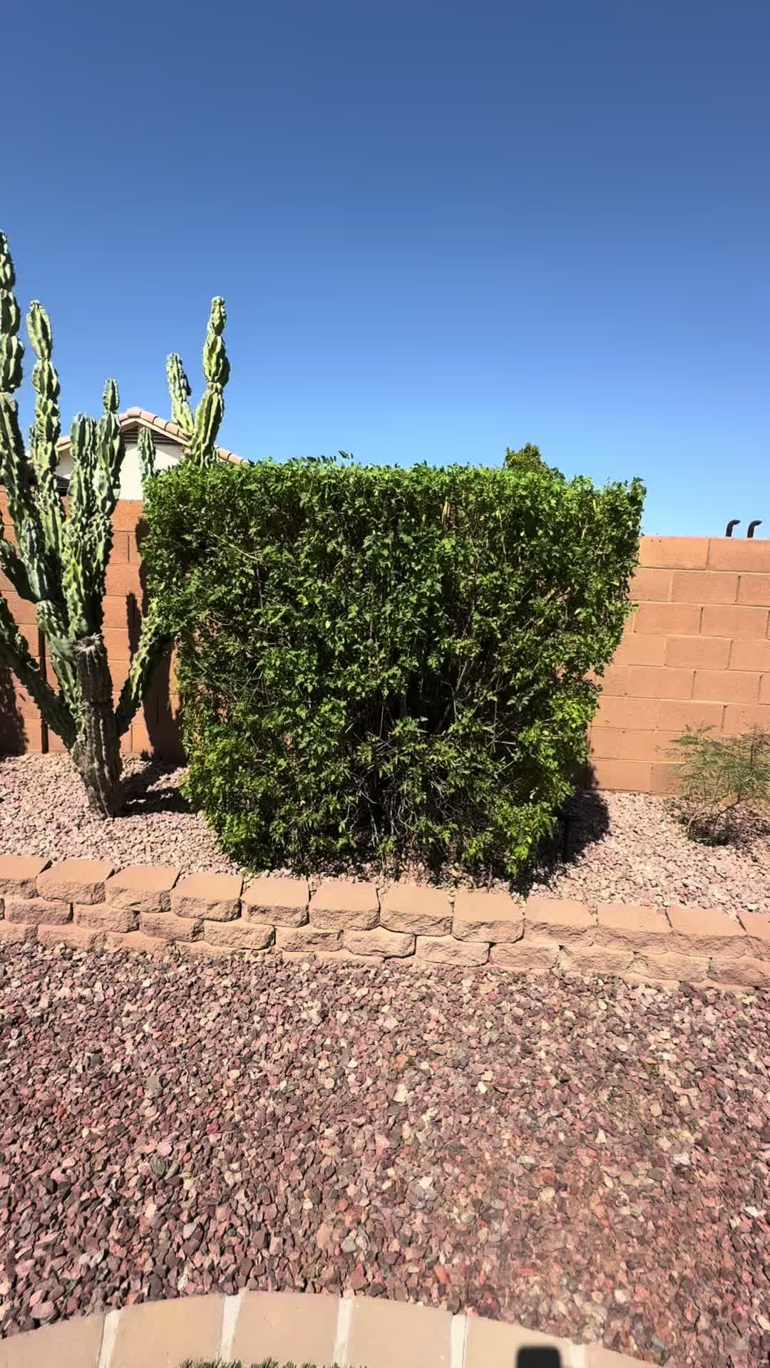 @landscaping