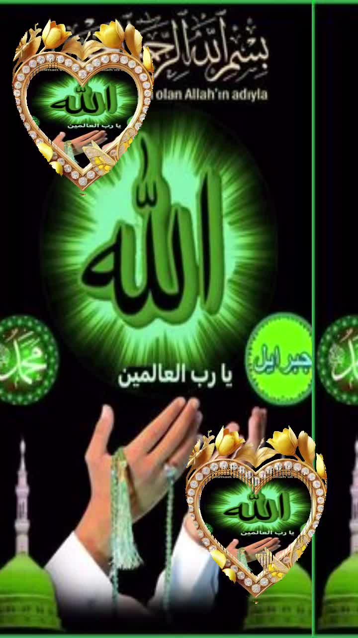 @Anshaa siraj