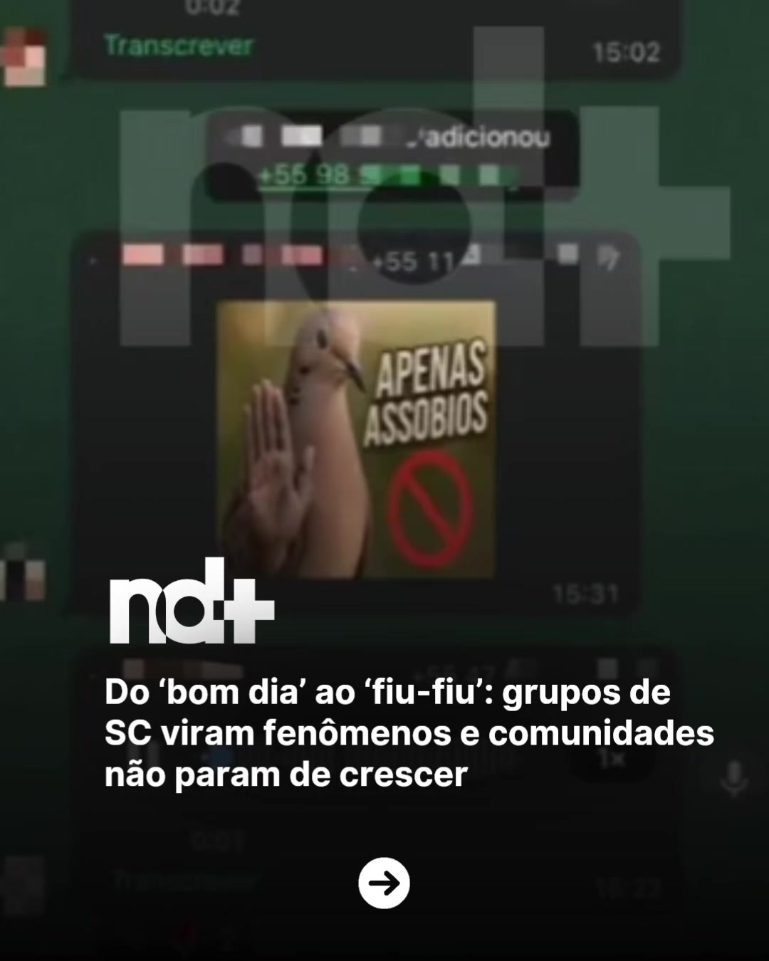 @portalndmais