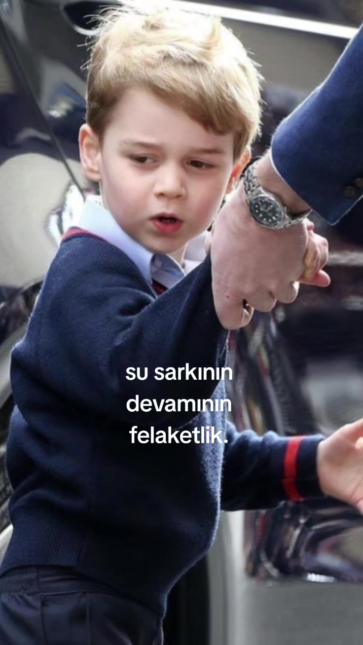 @๐ฑ๐ณ๐ช๐ฏ๐ค๐ฆ๐ด๐ด ๐ฎ๐ฐ๐ญ๐ญ๐บแฏโ
