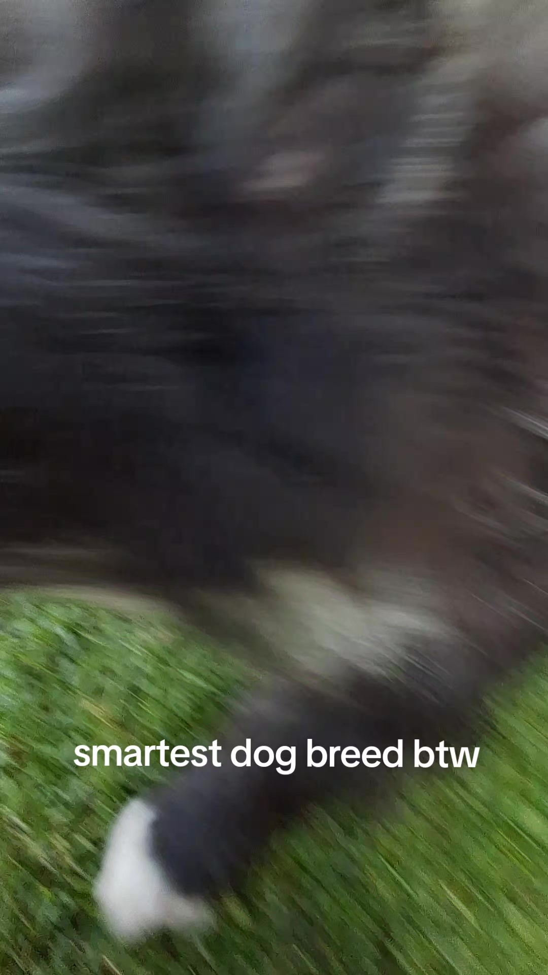 @Nitrus🇷🇴