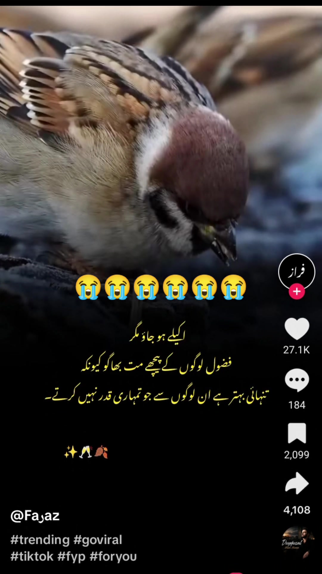 @❣️تورا غنم رنگا❣️