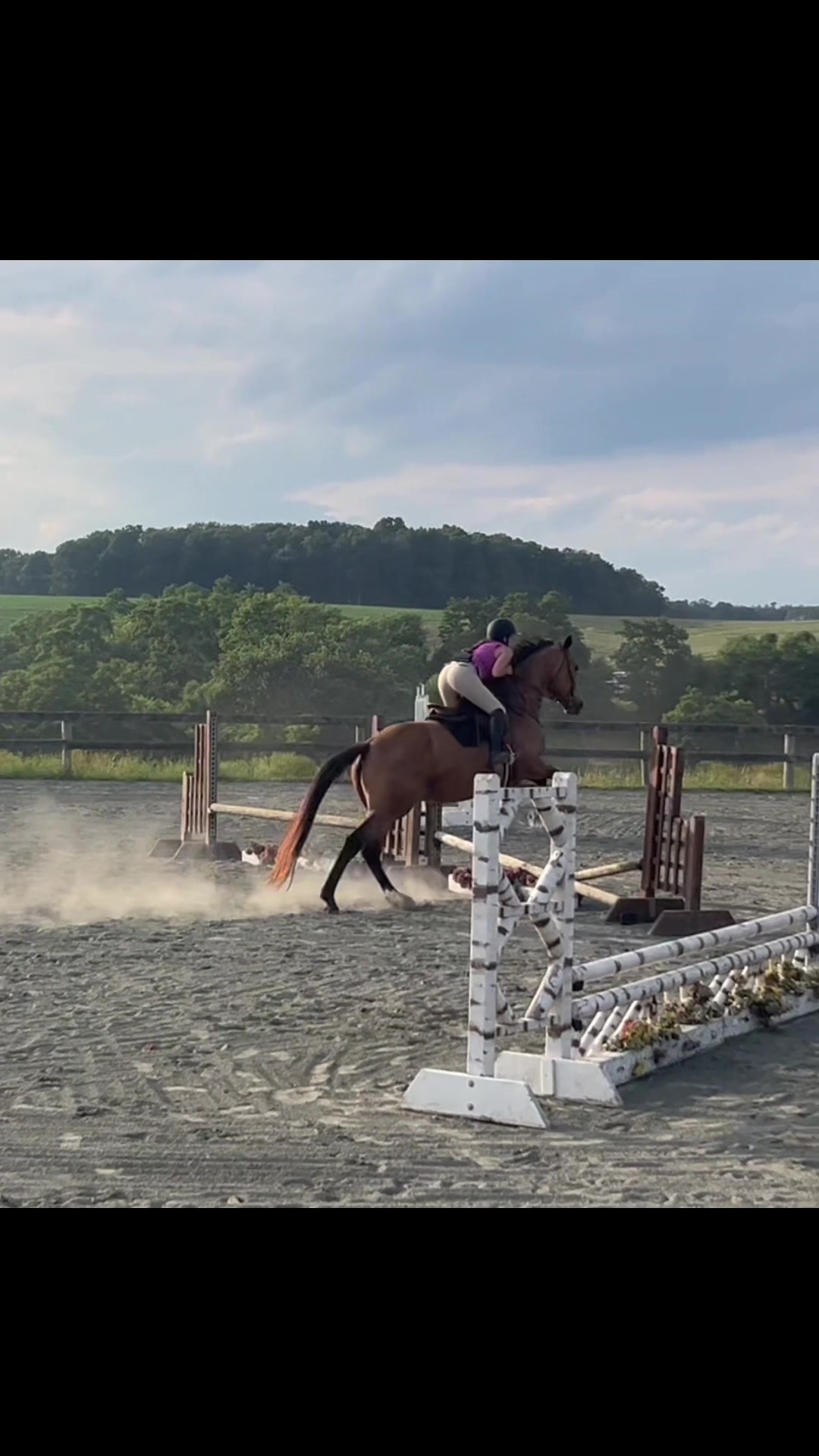 @Aftyn 🐎