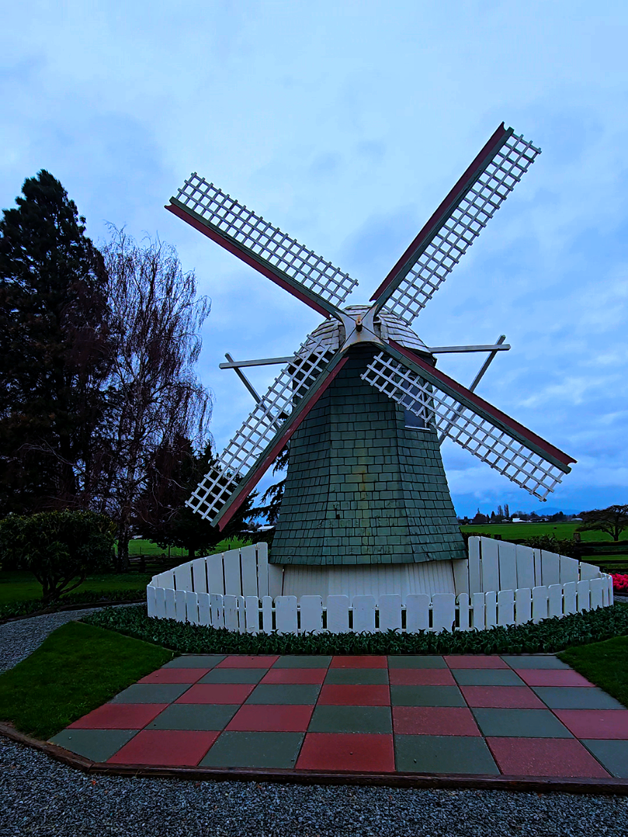@𝓔𝓭𝔀𝓪𝓻𝓭 𝓔.𝓞.𝓕