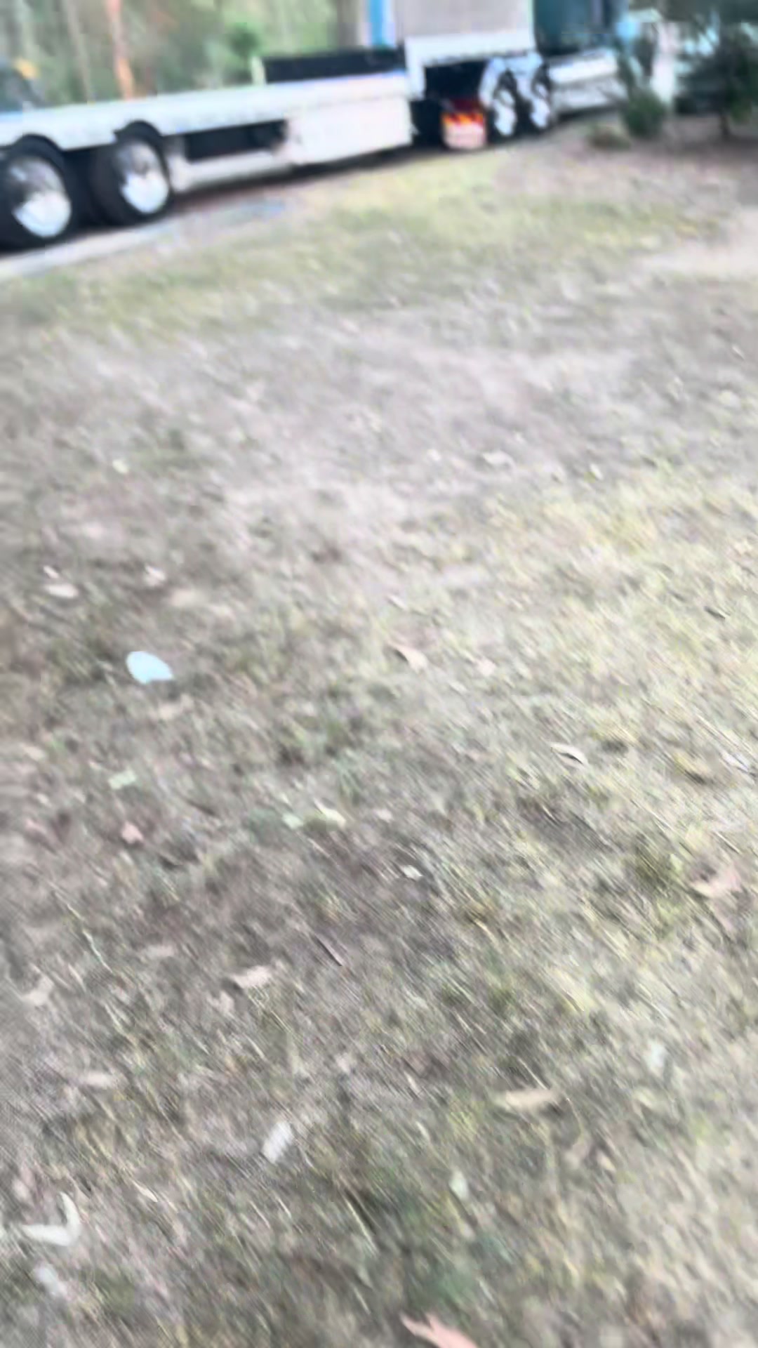 @Uzrr.dre 😶&zwj;🌫️