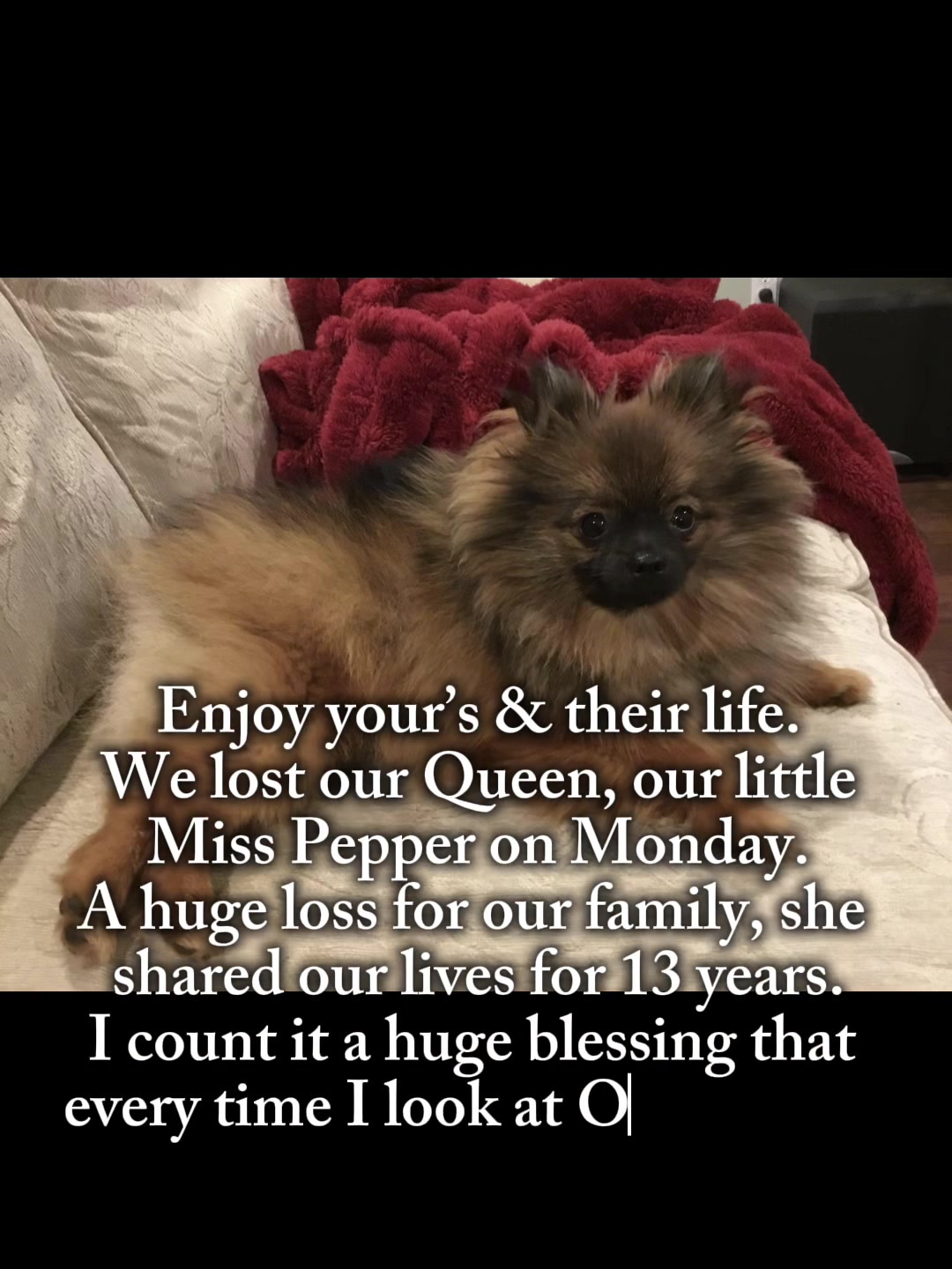 @all.my.babies