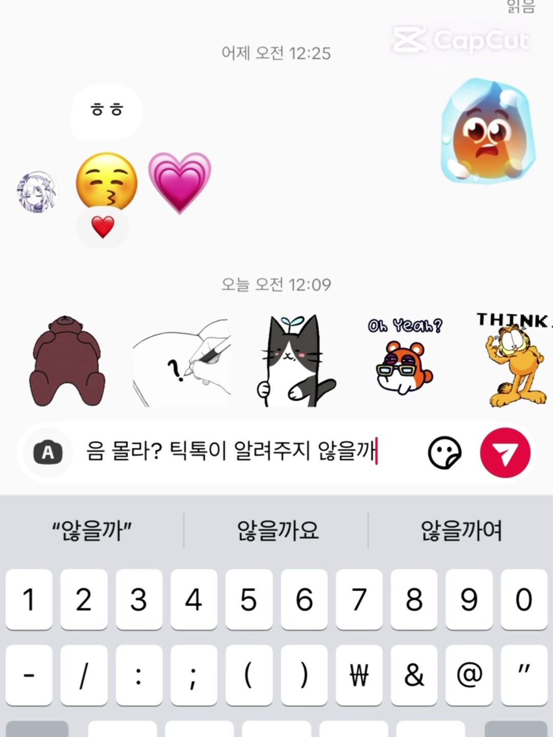 @토리만 바라보는 릱
