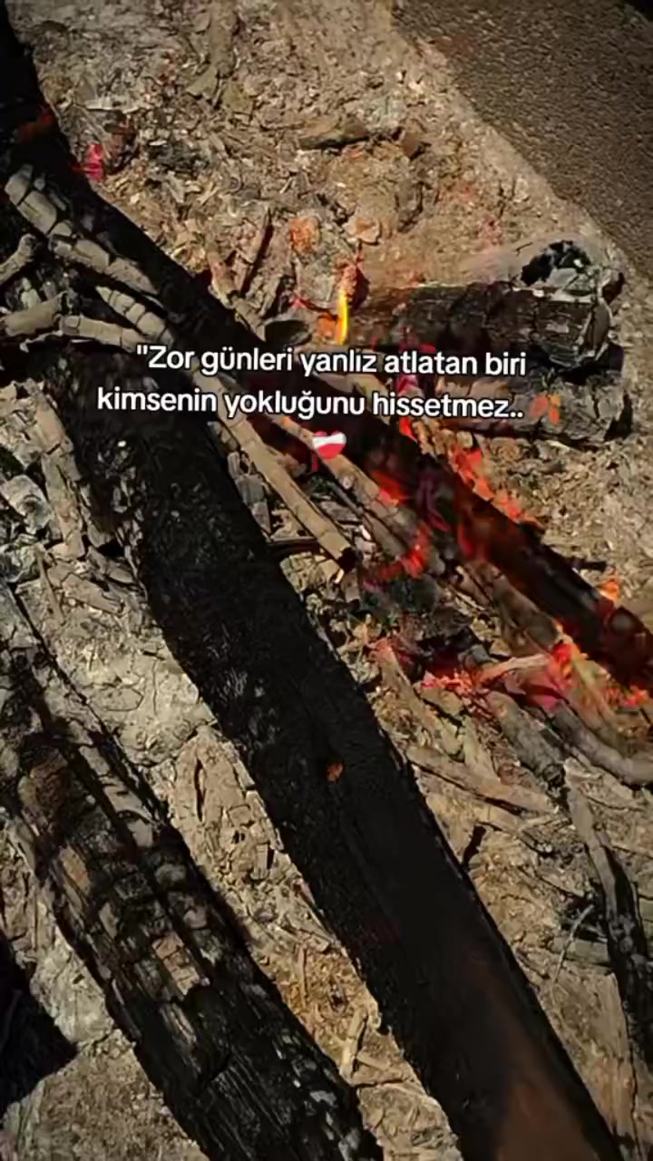 @mavig&ouml;l