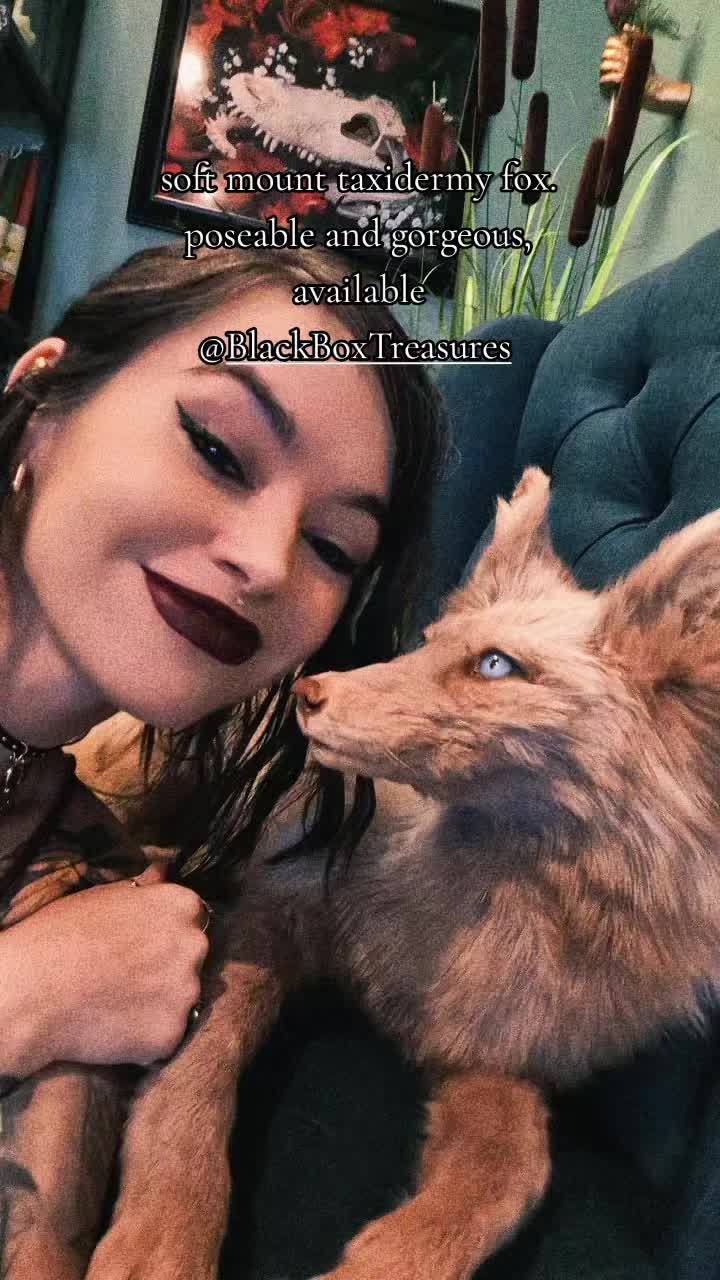 @creepbae